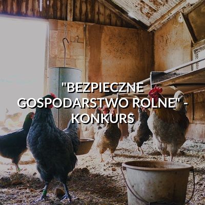 Grafika przedstawia gospodarstwo rolne, w którym obecny jest drób. Widnieje także napis "Bezpieczne gospodarstwo rolne" - konkurs.