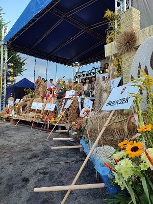 Zdjęcie przedstawia wieńce dożynkowe złożone pod sceną, podczas Dożynek Gminnych 2021.